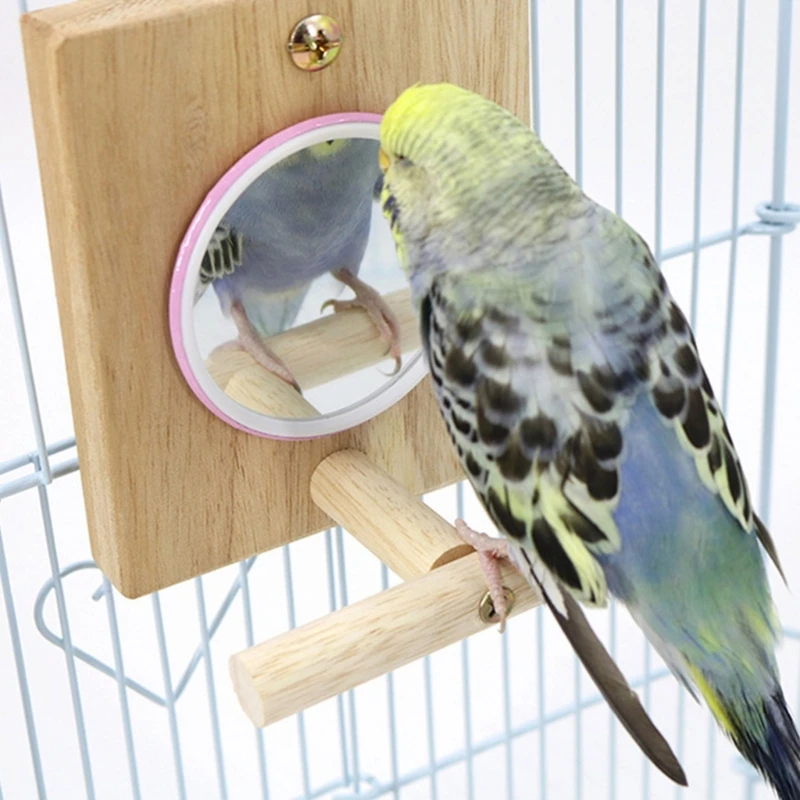 

Окунь для птиц с зеркальной натуральной деревянной подставкой для попугаев Conure Supplies Платформа для волнистых попугайчиков