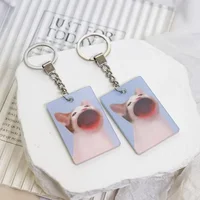 Брелок с мемным котаном#4