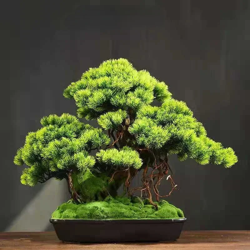 

Simulation micro-landscape welcoming pine green plants bonsai living room porch decoration Chinese office home accessories