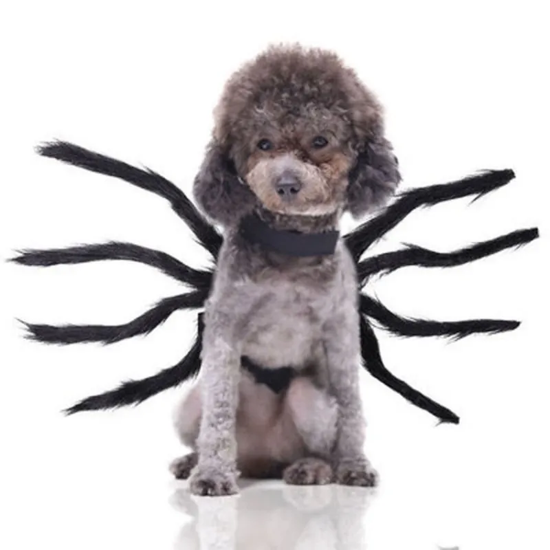 

Halloween Creative Horror Funny Black Spider Dog Vest Cat Pet Decoration Small Medium And Large Dogs And Cats Holiday Items