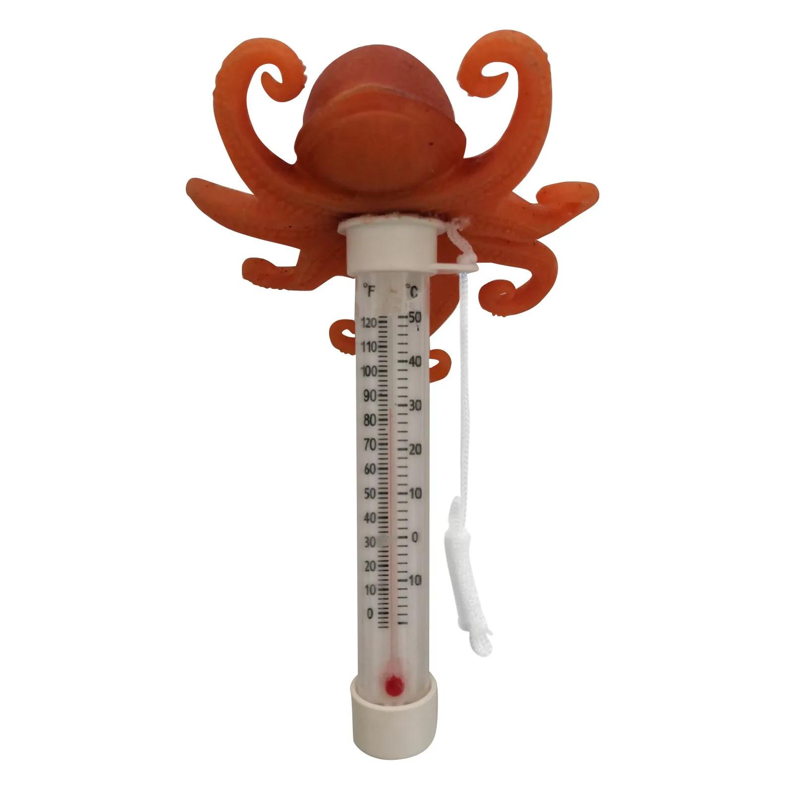 

Pool Thermometer Floating Buoy Pool Thermometer a With Large Ez Read Cartoon Style Temperature Test Tube For Swimming Pool
