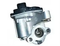 

147100789R для EGR VANASI R9M
