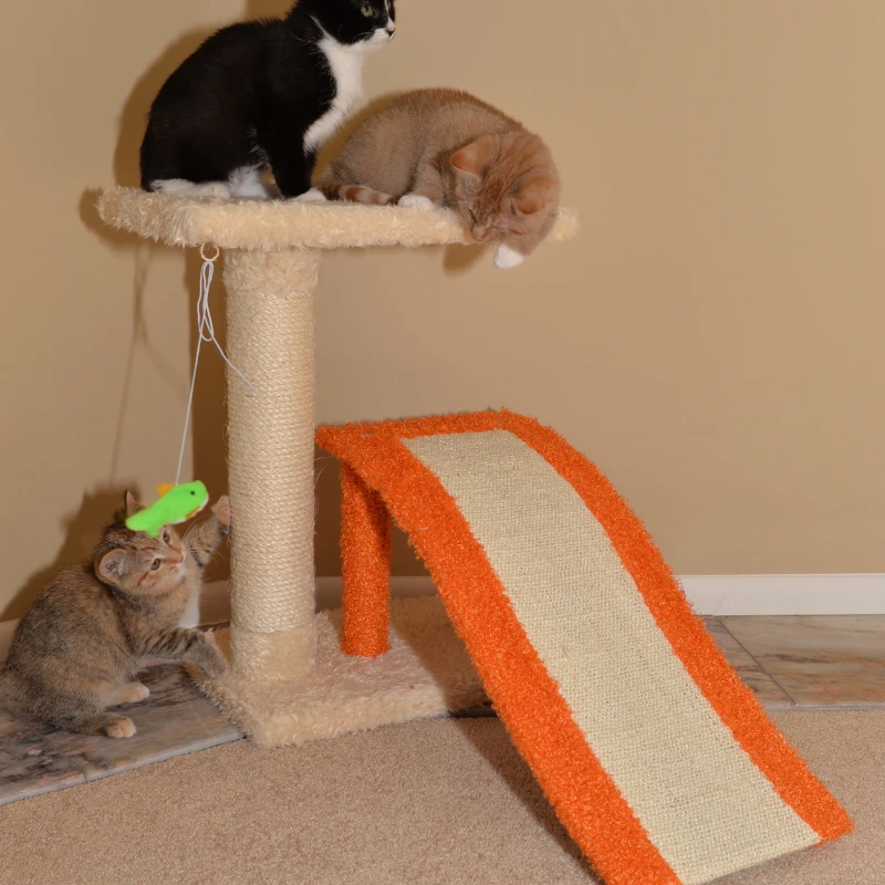 

X2101 Two-Level Platform real wood Scratcher W Sisal Carpet Ramp Beige