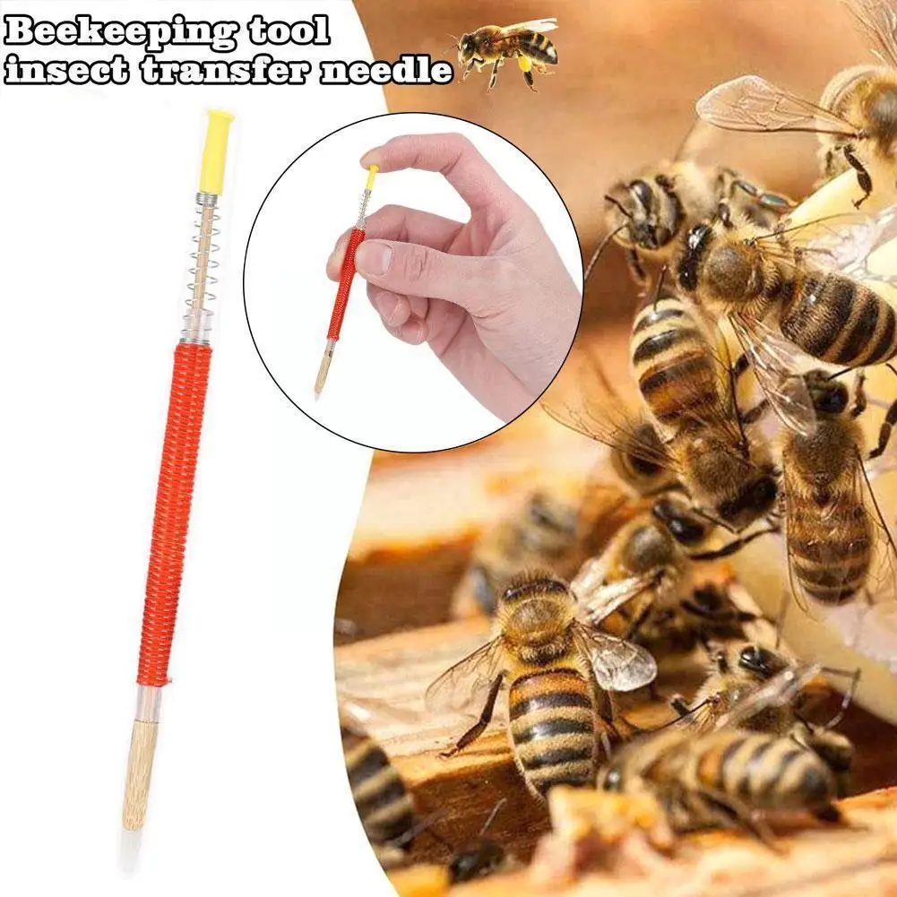 

1pcs Beekeeping Rearing Bee Tools Bee Queen Larvae Rearing Beekeeper Move Hive Needle Retractable Bee Feeding M8g4