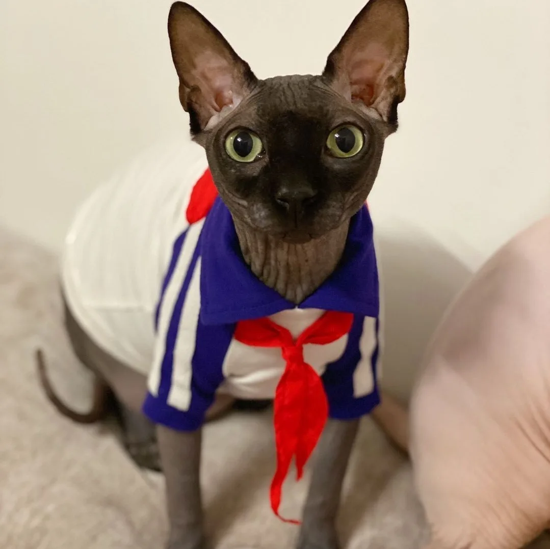 Повседневная хлопковая Футболка в стиле интернет-знаменитостей одежда с