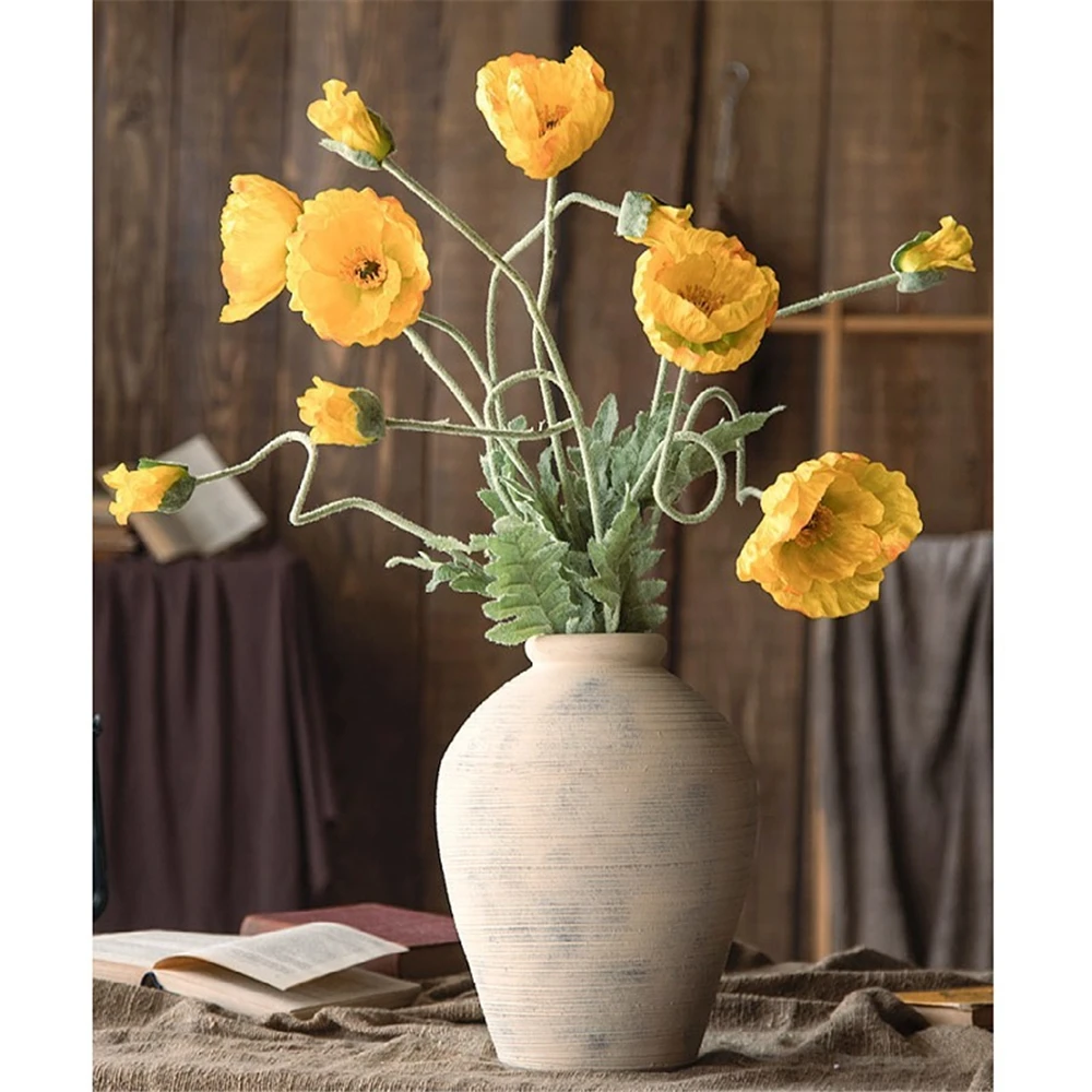 остеоспермум osteospermum cd fire burst impr