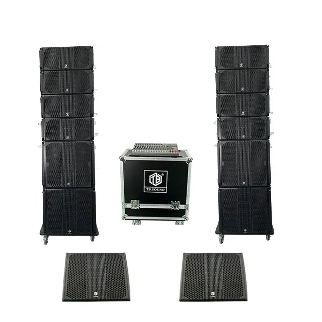 Двойные 10-дюймовые профессиональные системы звукового оборудования