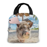 swimming with pig cooler bag portable zipper thermal lunch bag convenient lunch box tote food bag
