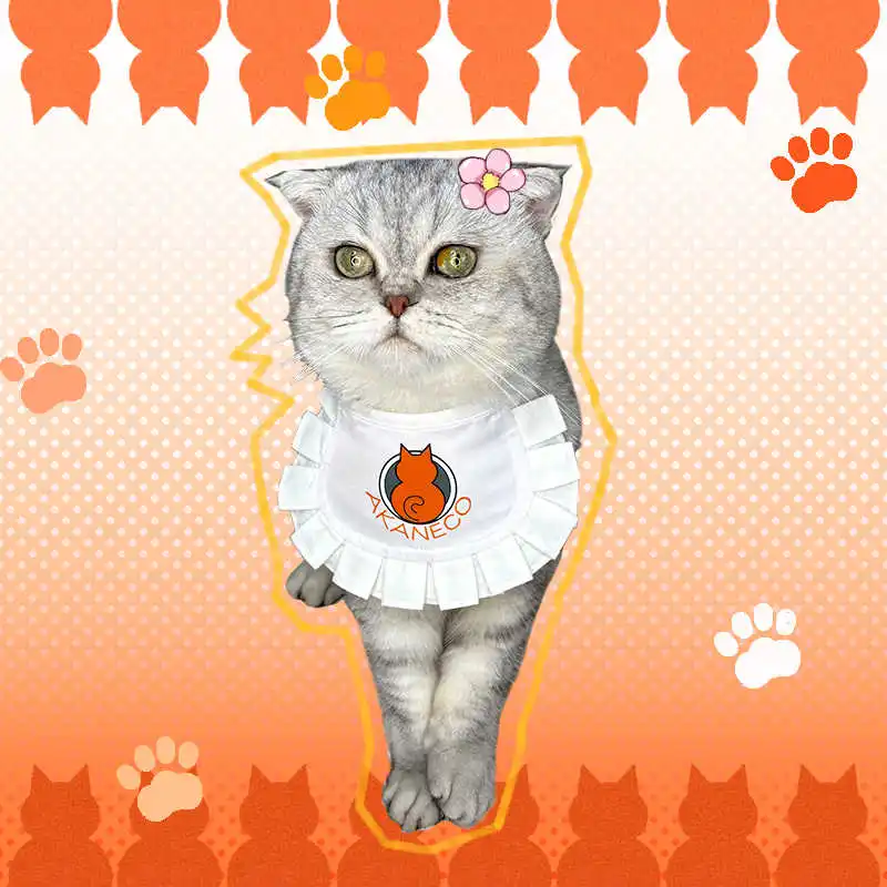 Аниме красная кошка рамен аканко бунзо домашняя Собака Кошка костюм для косплея