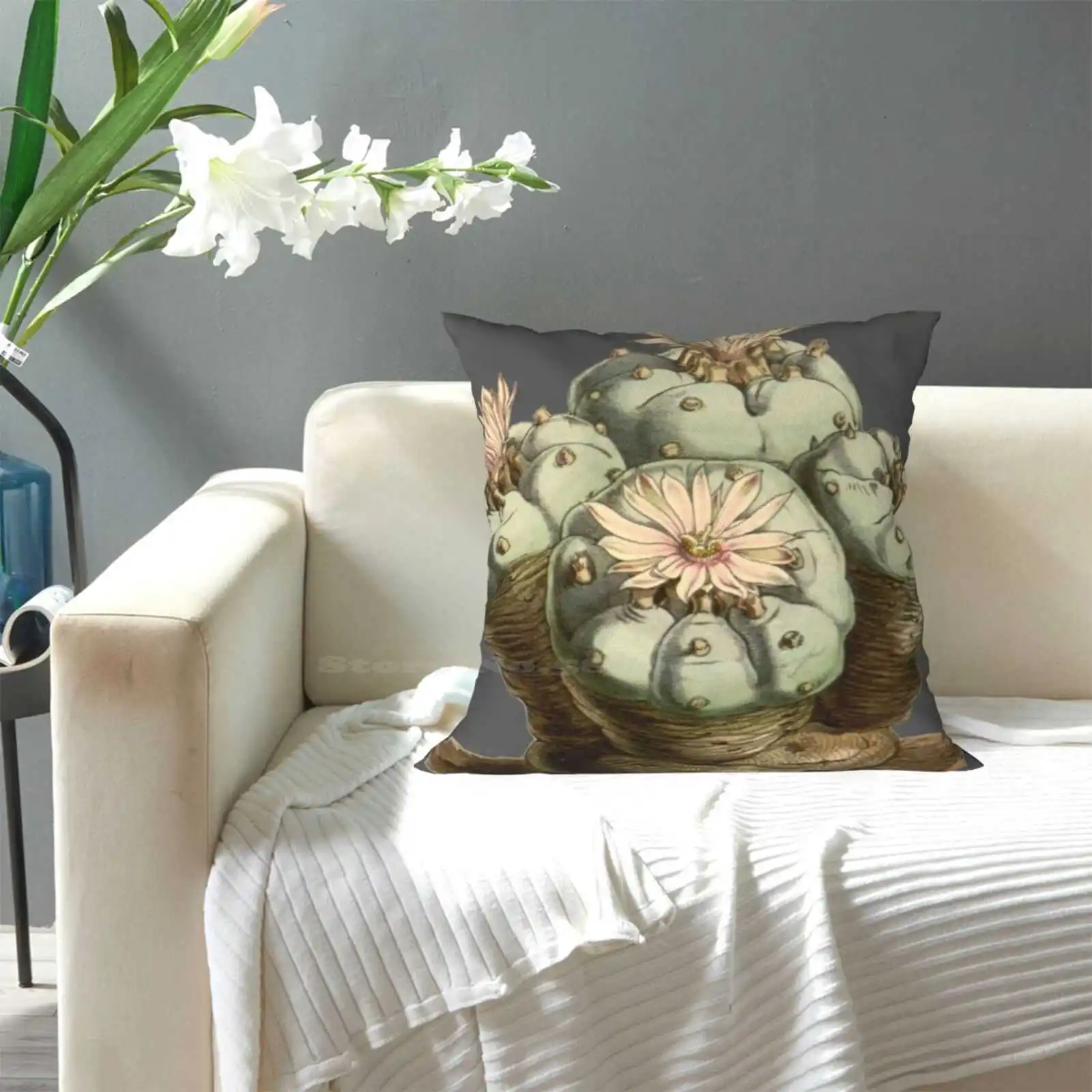 Lophophora Williamsii/Peyote-Античная растительная иллюстрация 1847 наволочка для подушки