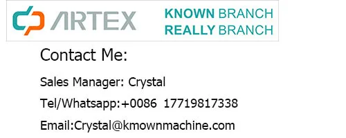 2022 Роскошная конная карета Королевская свадебная тележка Электрическая с 4