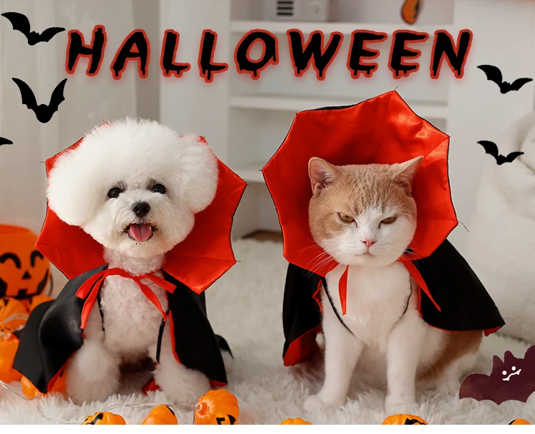 Милая одежда для домашних животных на Хэллоуин красный глаз паук грудь спина