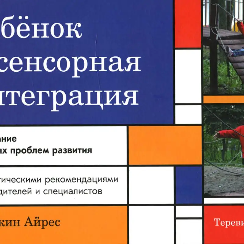 ребенок и сенсорная интеграция э. джейн айрис. джин айрес. ребенок и сенсорная интеграция э. книга айрес ребенок и сенсорная интеграция.