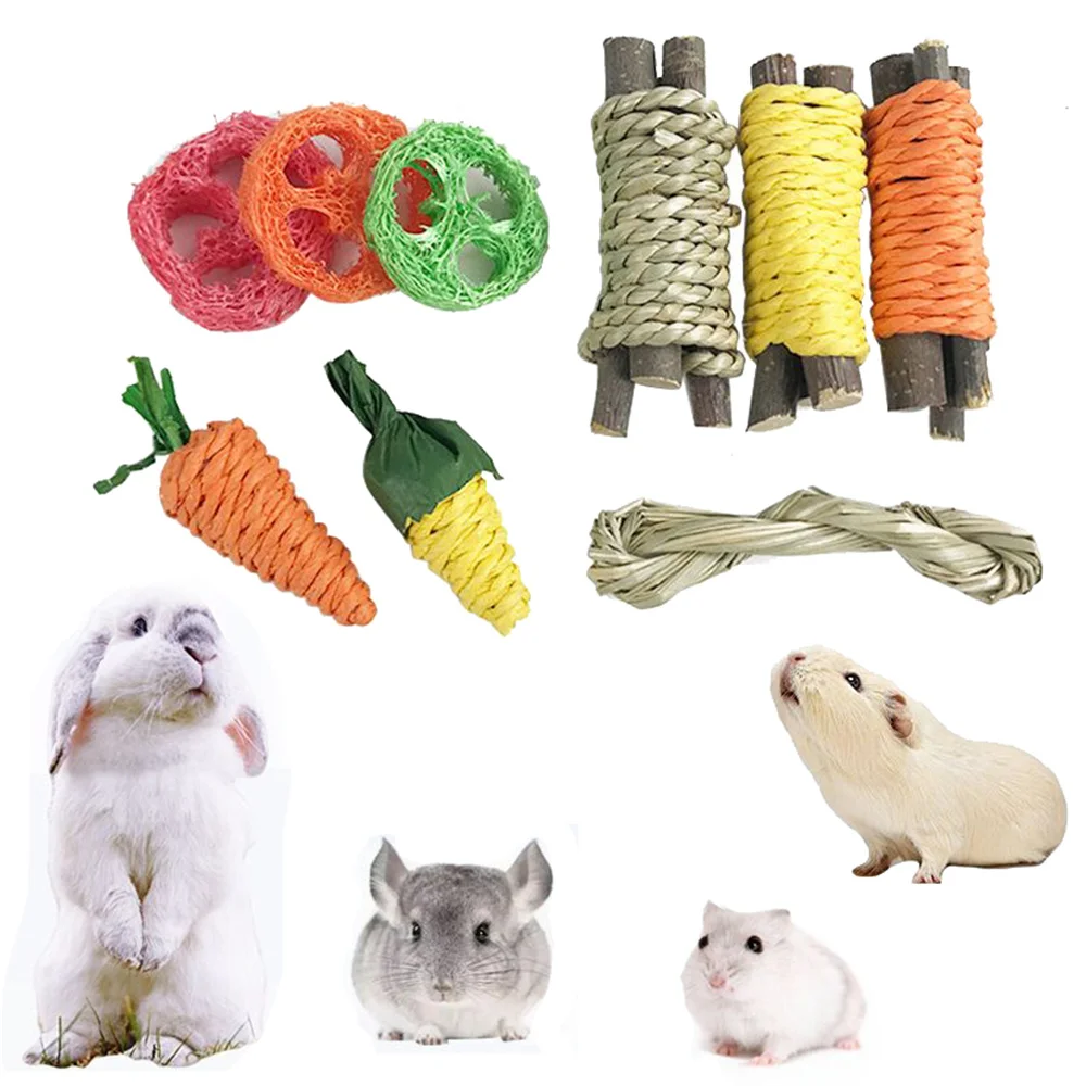 

9Pcs Pet Rabbit Chew Toy Sets Pet Hamster Tooth Molar Grinding Toys Small Animals Fun Toy for Guinea Pig Squirrel Chinchilla
