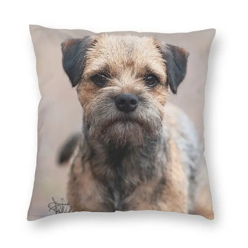 

Мягкая декоративная наволочка Kawaii Border Terrier для щенка, домашняя декоративная наволочка для собаки, размеры 45x45 см, наволочка для дивана