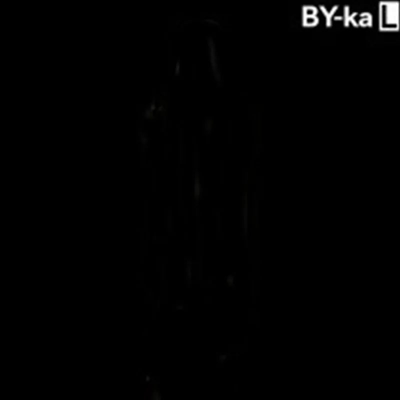 Сумки для телефона сделай сам Чехол и связи DEAD RABIT kylin V3 RBITER V2 BY-KA V10 L haku venna Сумка