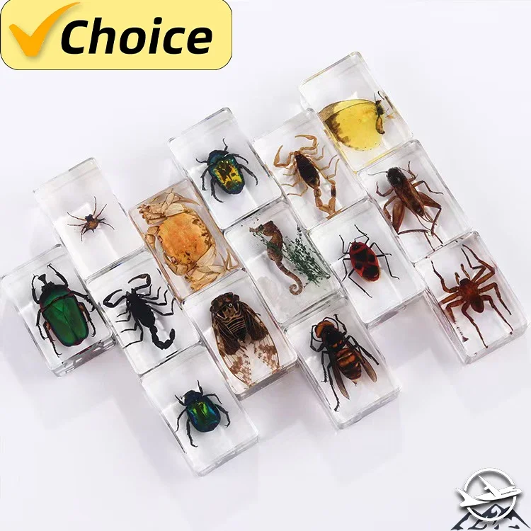 Аутентичные насекомые набор из 24 предметов прессованные гири с рисунком лапы для