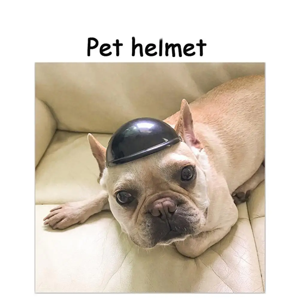 Аксессуары для защиты кошек и собак мотоциклетный шлем верховой езды