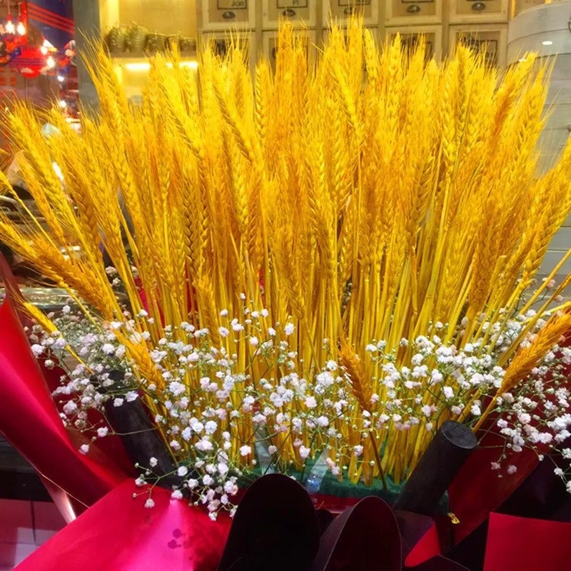 

50PCS Real Wheat Ear Flower Natural Dried Wheat Ears Bouquetw For Wedding Party Valentines Day Gift Boho Home Decor