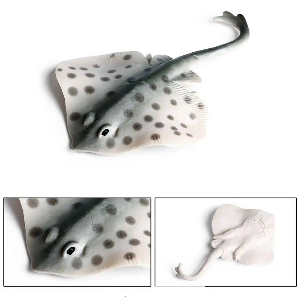 z symulacją Manta Ray Model ryby Miniaturowe figurki zwierząt oceanicznych Morskie edukacyjne morskie Ozdoby