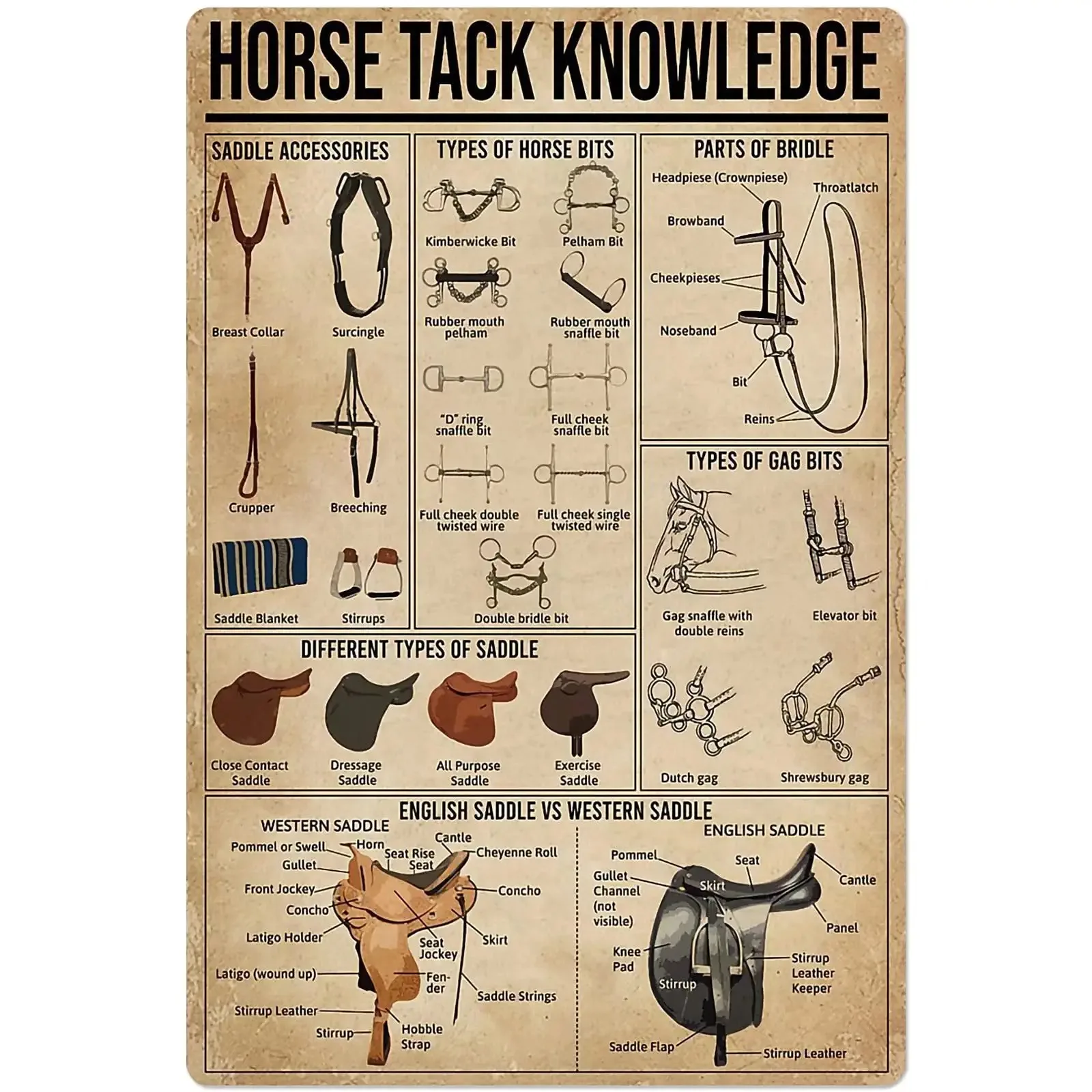 

Horse Tack Knowledge Metal Signs Wall Decor Cowboy Guide Posters Farm Club Decor Home Decor Plaque 8x12 Inches