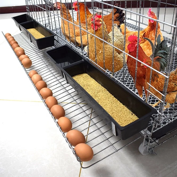 

Affordable Price Design System Animal Poultry House Farm Egg Layer Chicken Cage For Broilers And Baby Chicks