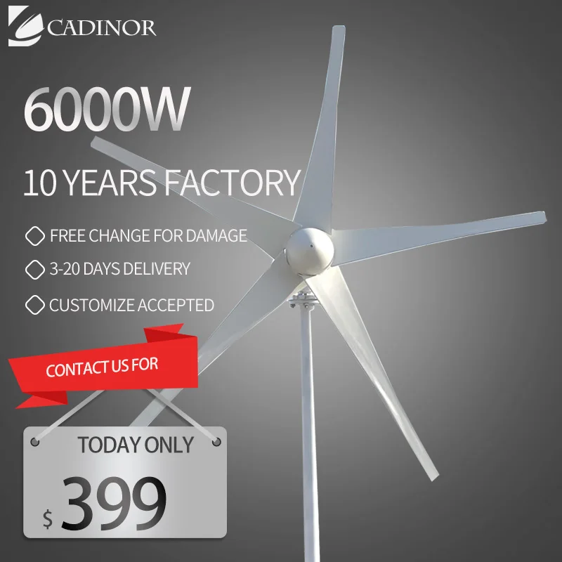 

Home 5000W Horizontal Windmill 12V 24V 48V Wind Turbine 6000W 3/5Blades Permanent Maglev Generator With Mppt Charge Controller