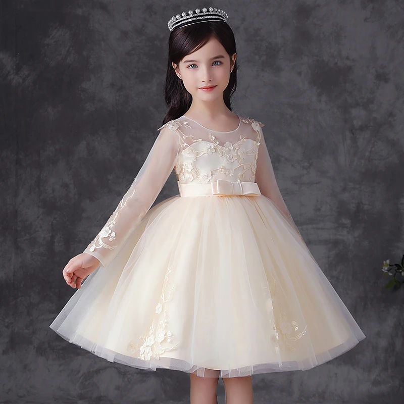 

Party dress Puffy dresses Embroidered skirt Lace Layers Dresses Princess dress for little girls Princess Skirt Girls Pleated Set