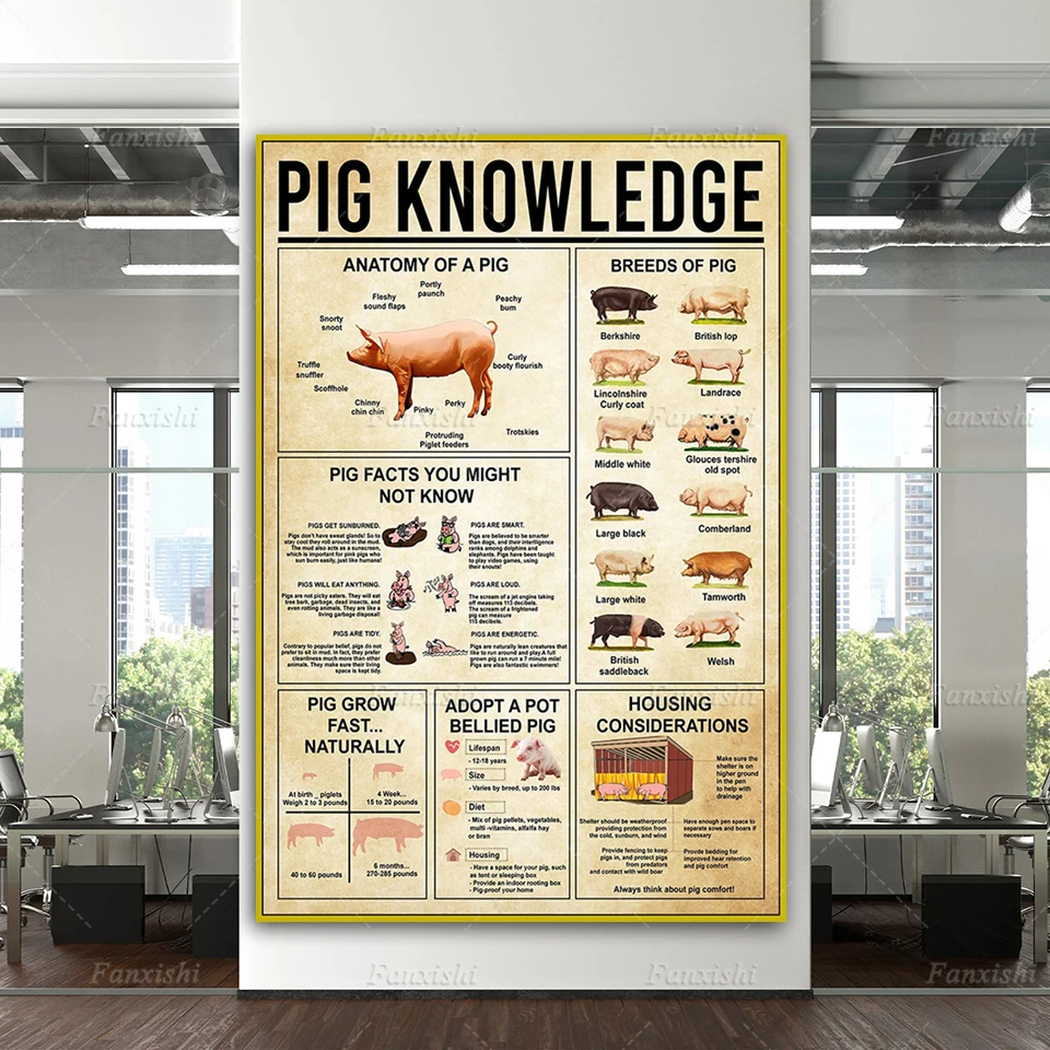 

ВИНТАЖНЫЙ ПЛАКАТ в виде свиньи, плакат основной серии знаний о свиньях, печать знаний о животных фермы, декор фермерского дома, настенный художественный подарок