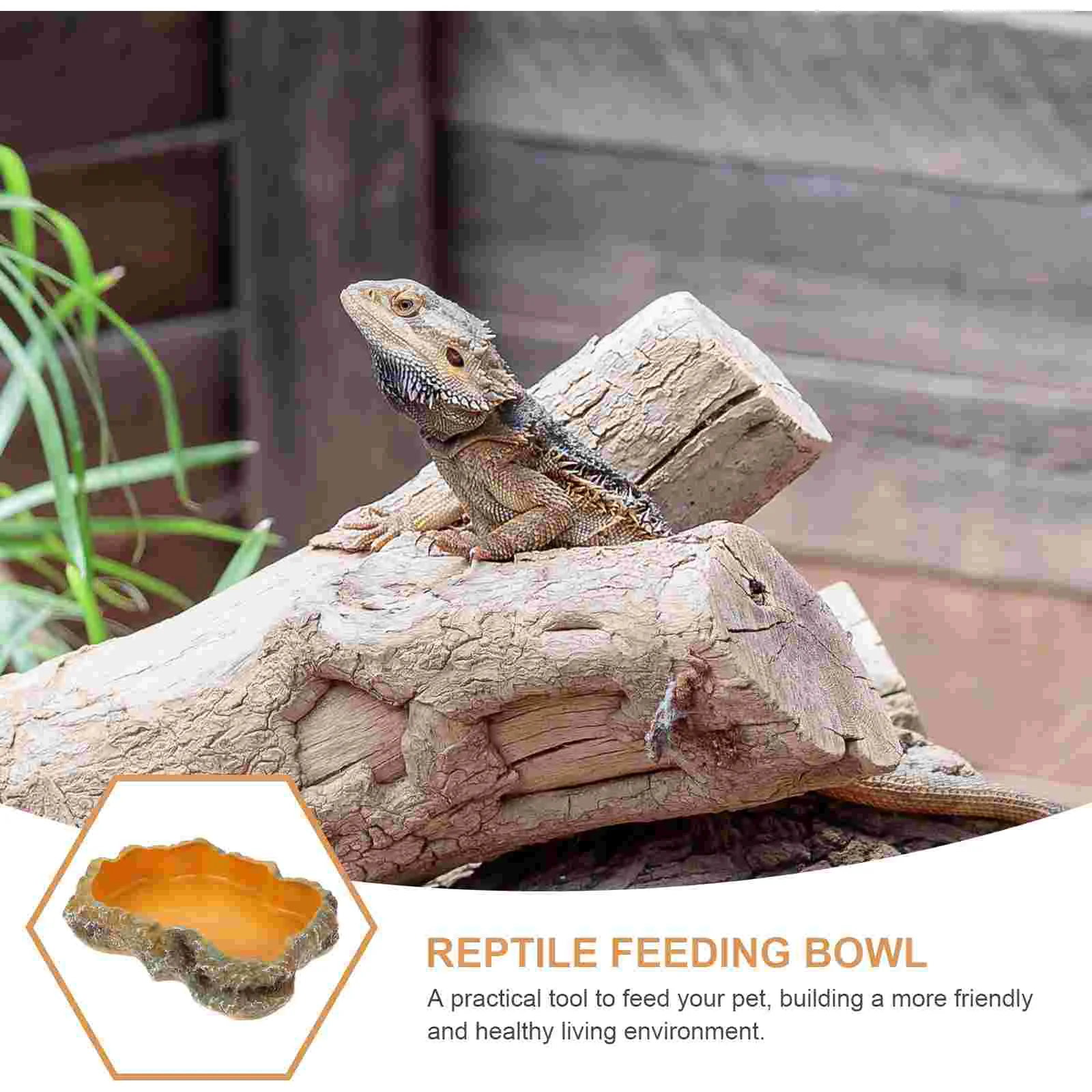 

Climbing Pet Food Bowl Reptile Feeder Tortoise Feeding Basin Resin Terrarium Decor