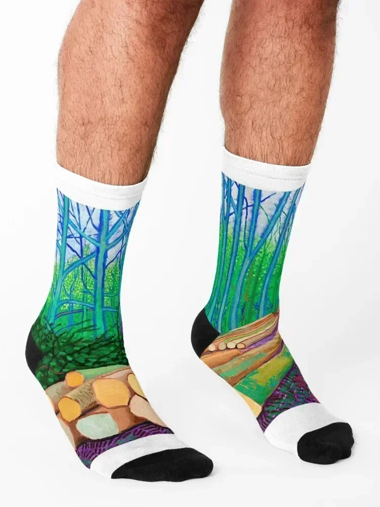 Носки с художественным принтом в стиле Дэвида Хокни спортивные чулки цветочным