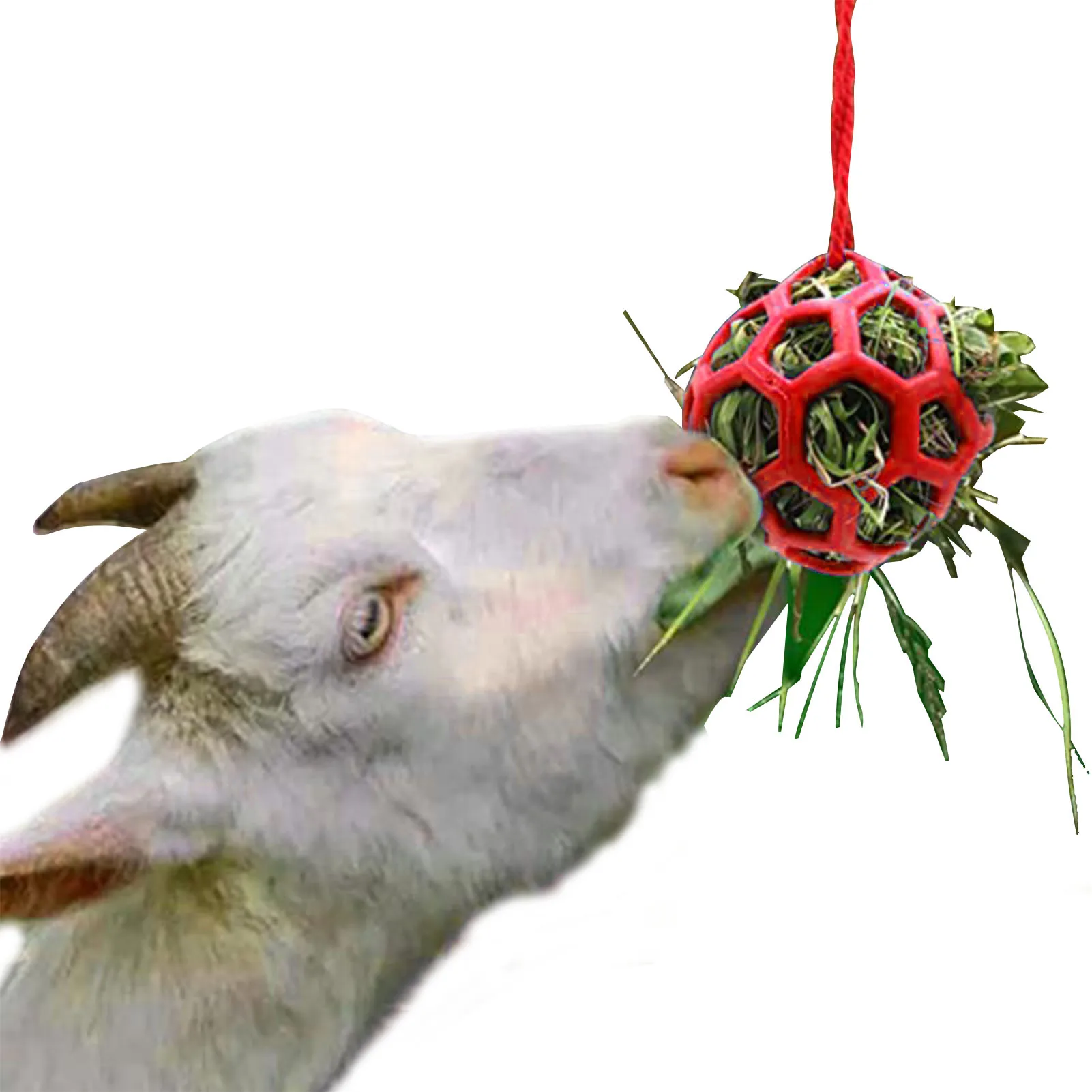 

Horse Treat Ball Horse Ball Hay Feeder Goat Feeder Ball Toy Horse Toy for Real Horses Hangings Feeding Ball for Horse Stress
