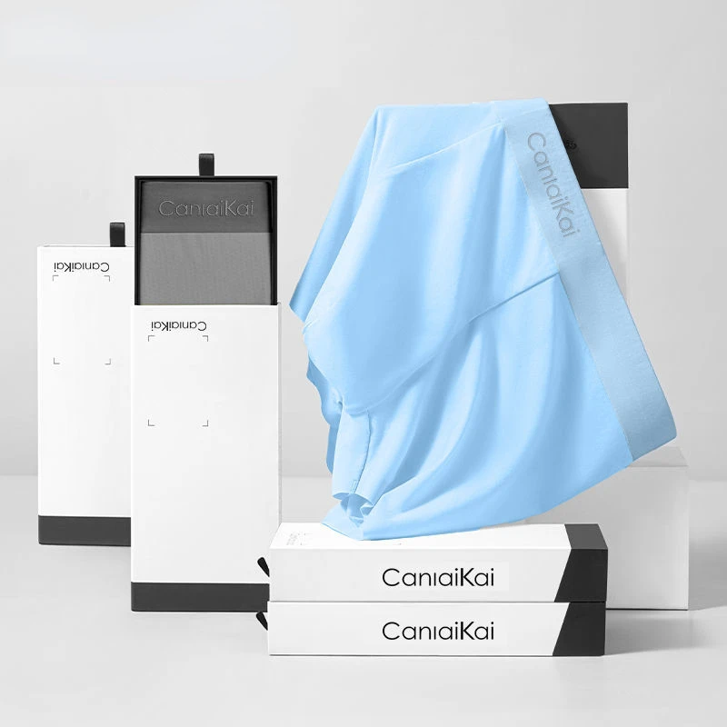 Ice Silk Men's Panties Solid Man Boxer Breathable Underpants Quick Dry Briefs Summer Cotton Antibacterial Inner Crotch Underwear