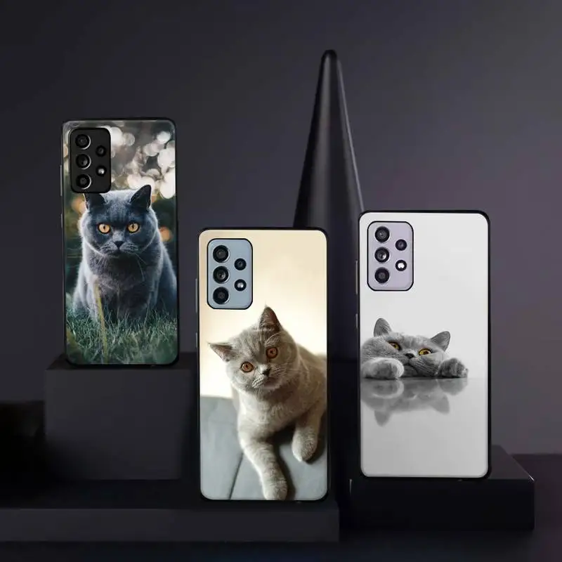 

British Shorthair cat cute animal Phone Case For Samsung galaxy A S note 10 12 20 32 40 50 51 52 70 71 72 21 fe s ultra plus