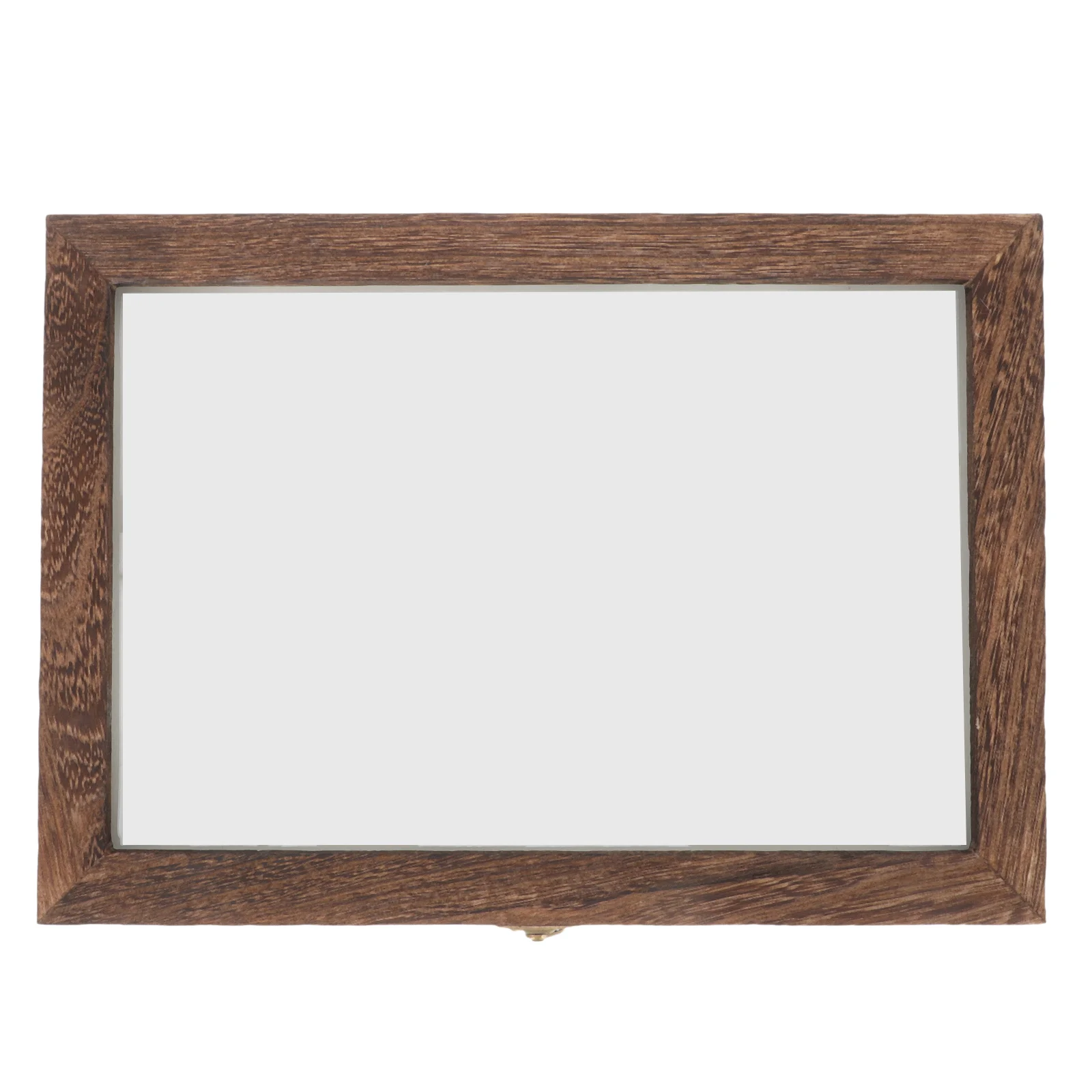 

Display Case Box Specimen Insect Frame Shadowwooden Wood Collection Picture Photoexhibit Moth Beetle Bug Frames Medalclaspflower