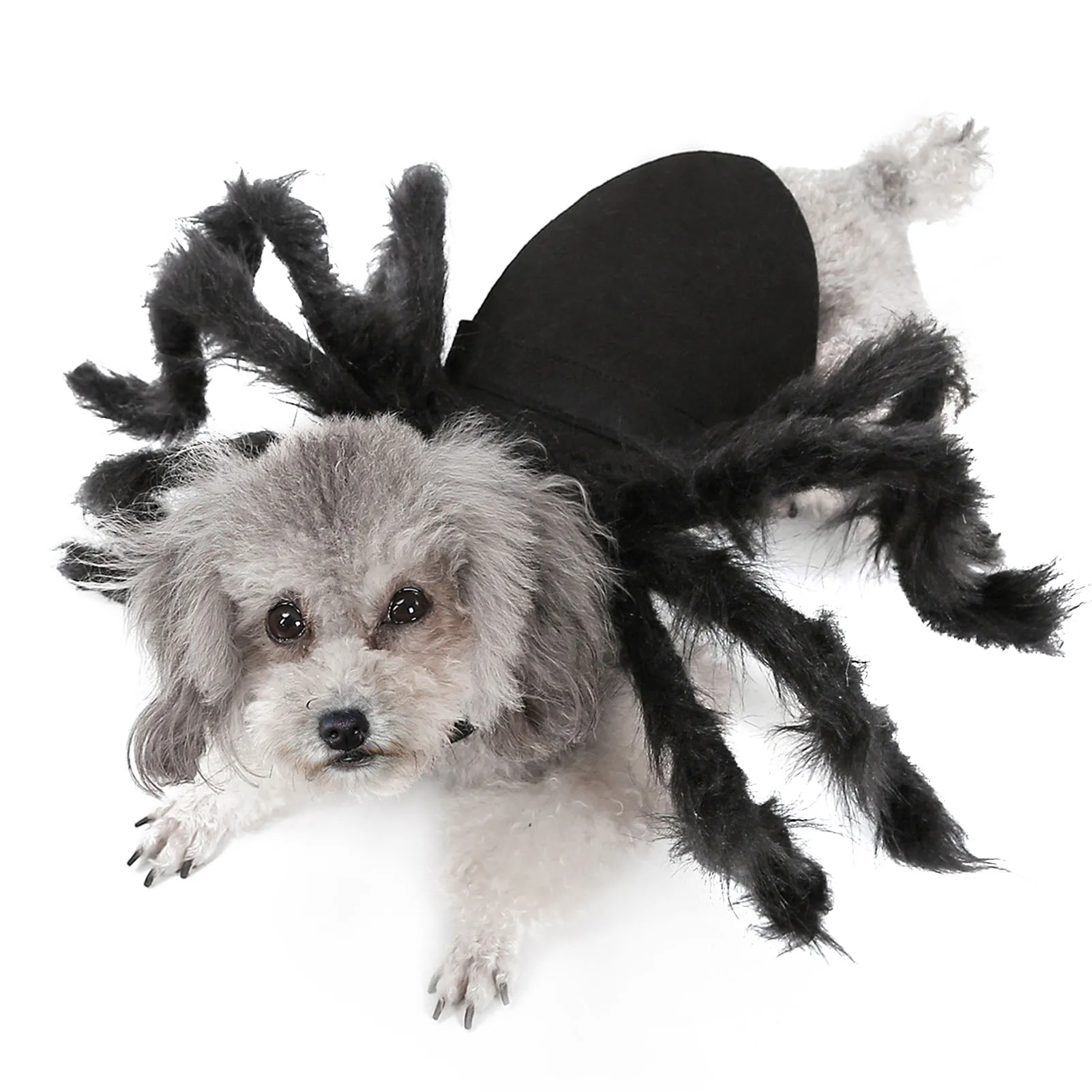 Dogs Cats Spider Costume Pet Party Outfits for Small Dogs Cats Halloween decoration scare cosume party supplies