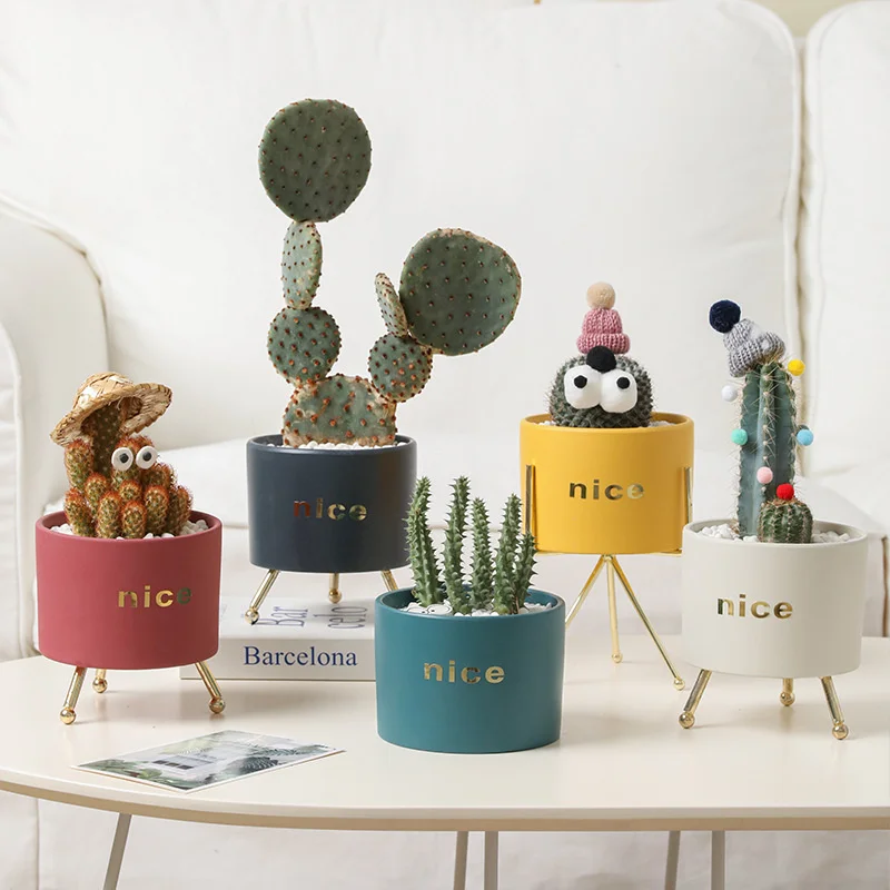 

Cute Simple Plant Stand Wrought Iron Stand Flower Pots Fine Workmanship Metal Rack Electroplating Craft Indoor Gardening