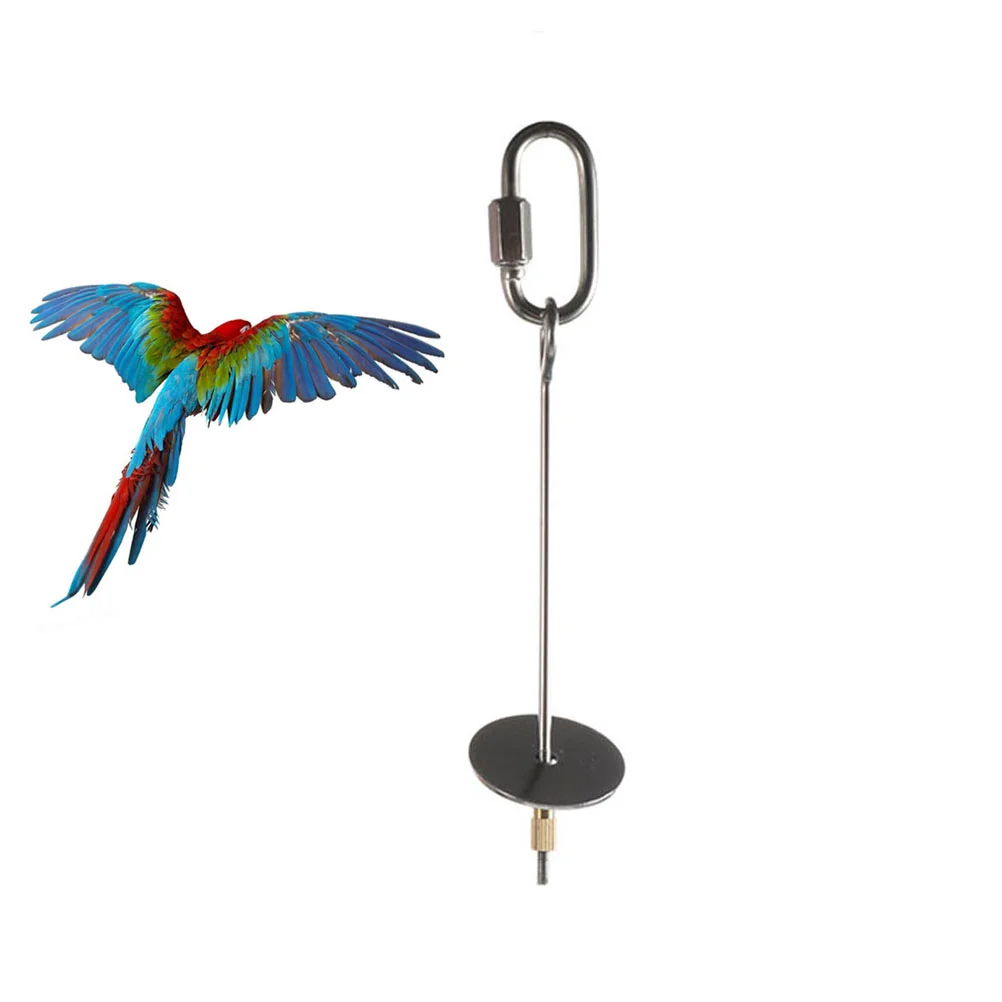 

Hanging Parrot Stainless Steel Fruit Fork Toy Funny Small Bird Toys Parrot Playing Toy (Small)