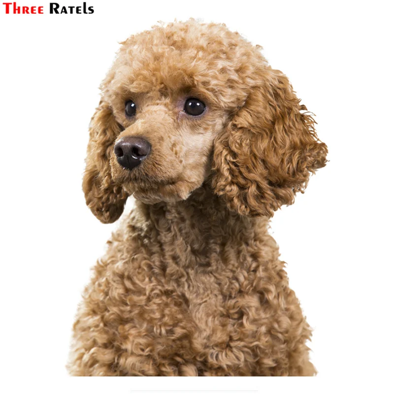 

Three Ratels TRL536# 12x16cm Teddy Dog Cute Car Funny Stickers And Decals