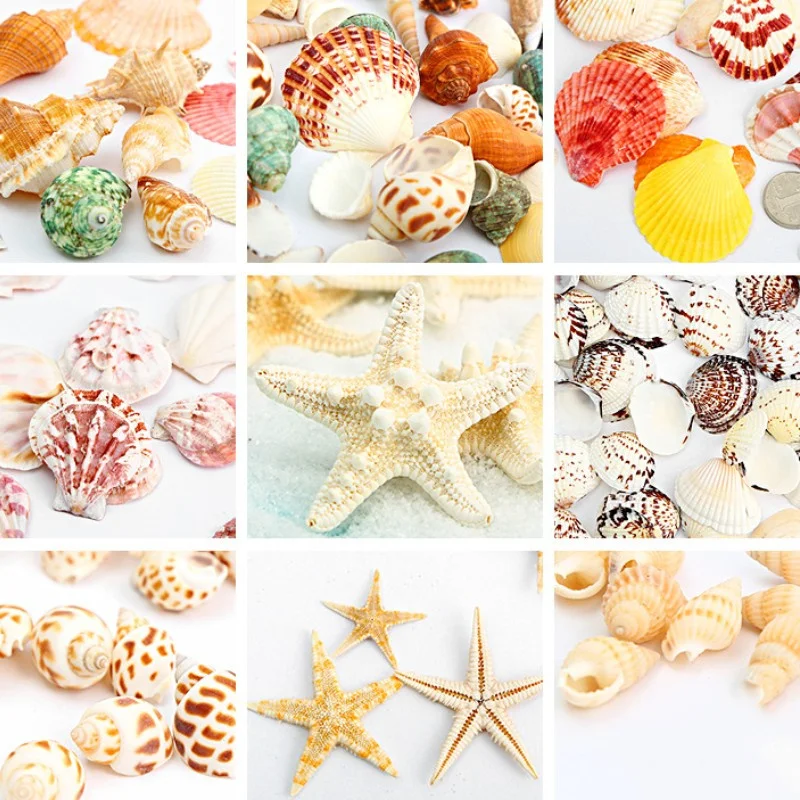 

Natural Starfish Shells Aquarium Decoration Fish Tank Landscaping Crafts Marine Ornament Handmade DIY Accessories Home Decor