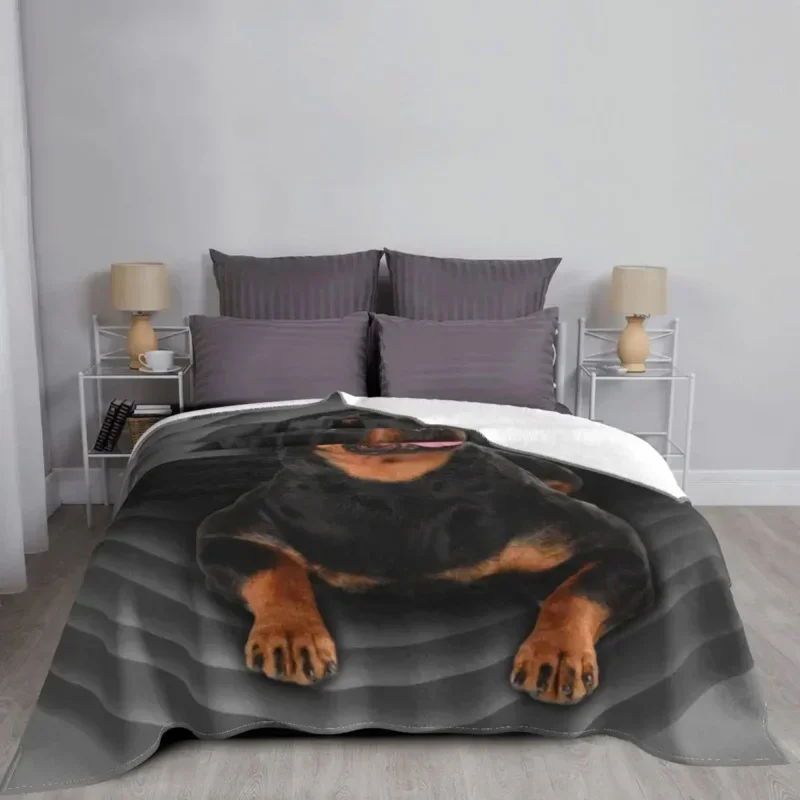 Мягкое Фланелевое Флисовое Одеяло С Вращающимся Лицом Теплое Для Владельцев