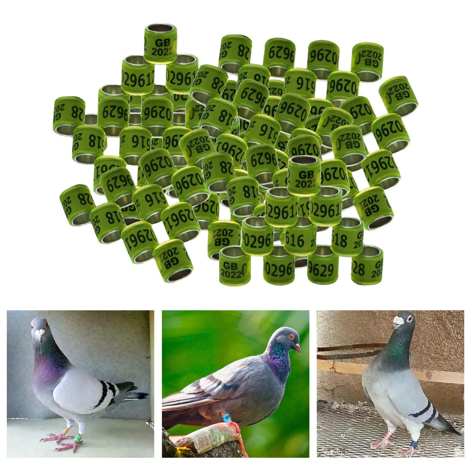 

100 Pieces 2022 Aluminium Racing Pigeon Leg s Bands 8mm Bright Colors And