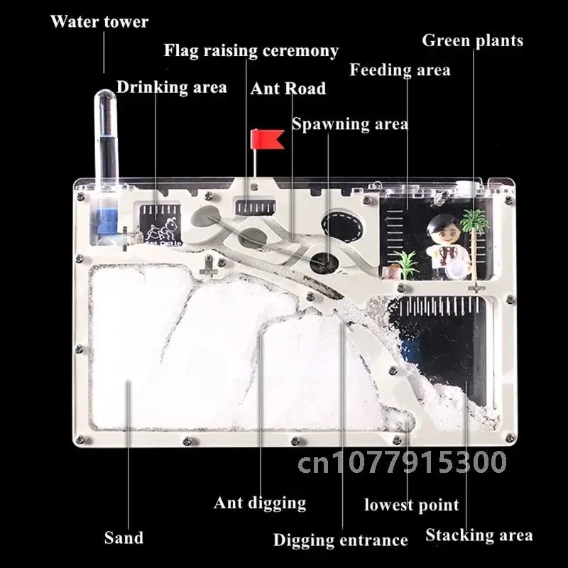 Замок муравья 2021 M экологическая коробка для насекомых мастерская муравьев племя