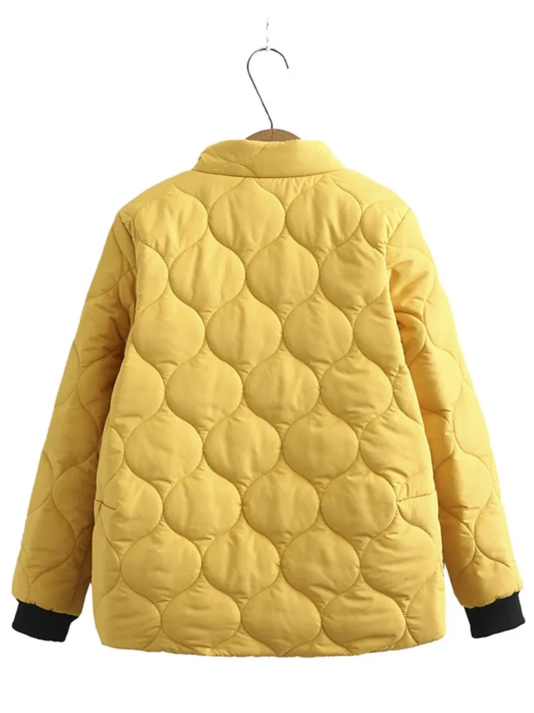 Модные зимние пальто для женщин однобортные повседневные парки с воротником-стойкой женская теплая куртка для женщин 2020 Новинка от AliExpress RU&CIS NEW