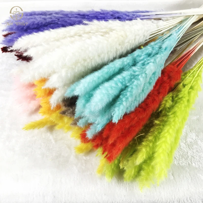 

Natural Dried Flowers Pampas Grass Country Wedding Decoration Accessories Boho Home Room Table Decor Artificial Flower Ornament