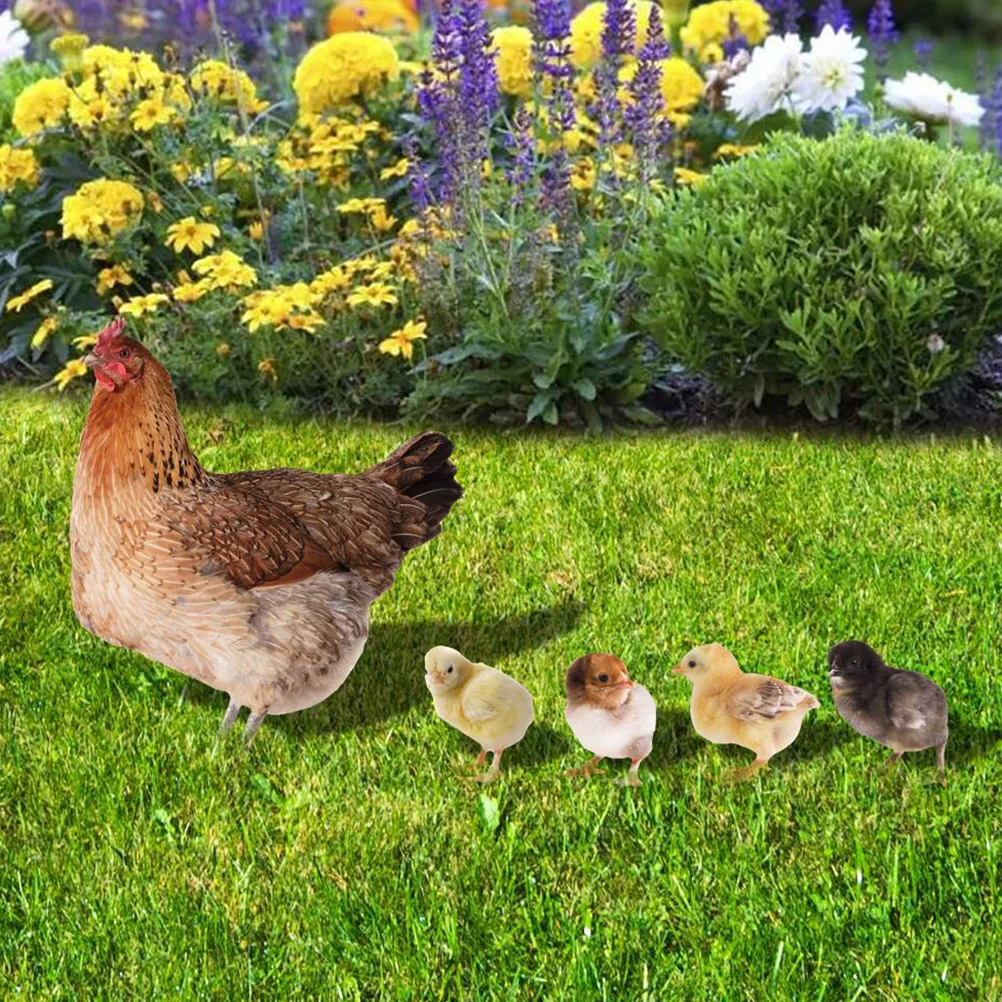 

2 Sets Hen Chick Ground Plug Garden Accessory Decor Decorate Decoration Yard Acrylic Lawn Sign Chicken Insert Ornaments