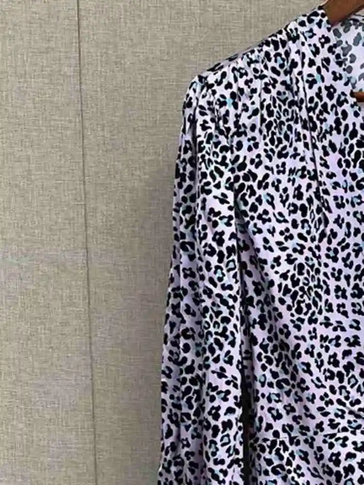 2023 Spring Summer New Women Dress Leopard Print Asymmetric Pleated Mixed Color V-neck Long-sleeved Dress