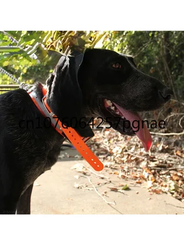 GPS-трекер для собак T5/T5mini