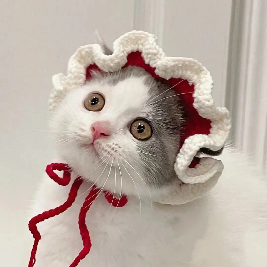 

Handmade Crochet Hook knitting Maid Cat Bell Flower Sun Hat Pet Cat Hat Cross Dressing Hat Exotic Shorthair Cute Headgear Lovely