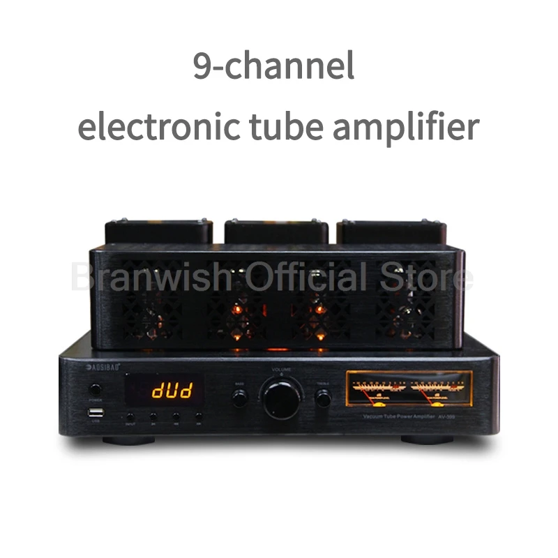 Трубчатый усилитель Hifi высокой мощности 200 Вт + предустановленный динамика Auido